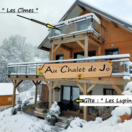 Au Chalet De Jo Muhlbach-sur-Munster Exterior foto