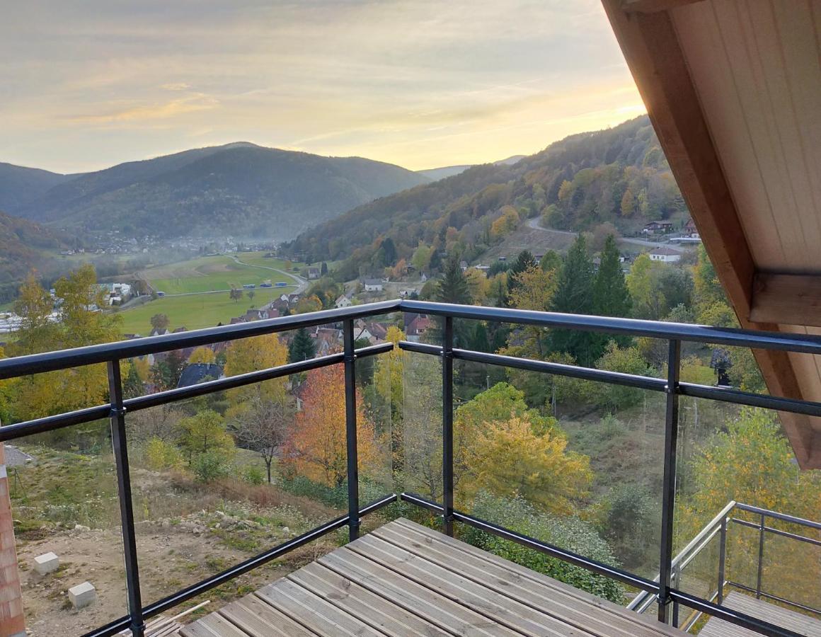 Au De Jo Apartment Muhlbach-sur-Munster